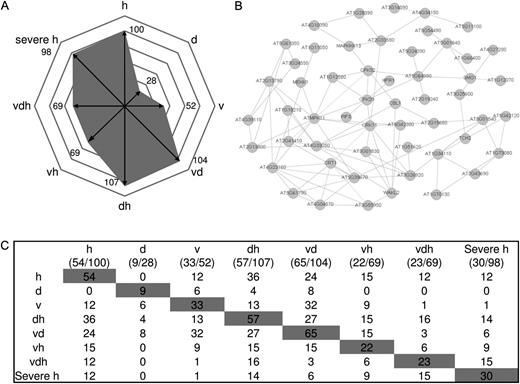 Coexpression analysis of signaling genes under single and combined stress conditions. A, Number of differentially regulated genes according to the functional group “signaling” is given for each stress condition. B, Significant regulated signaling genes within the heat network from A visualized in a network of coexpressed genes provided by the ARANET Web tool (www.functionalnet.org/aranet/). C, Table shows the number of treatment-specific signaling genes found to be coexpressed within one treatment (shaded) and the number of commonly shared genes compared with coexpressed signaling genes of other stress conditions (not shaded). Conditions are as follows: heat (h), drought (d), TuMV (v), drought and heat (dh), TuMV and heat (vh), drought and TuMV (dv), TuMV, drought, and heat (vdh), and severe heat (severe h).