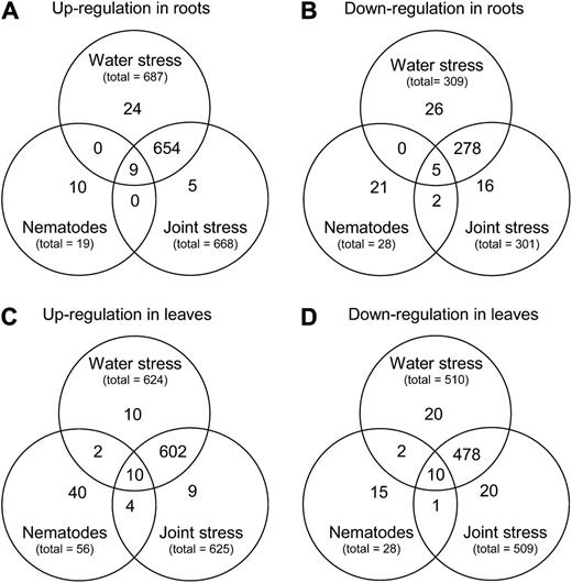Venn diagrams showing overlap between genes differentially regulated by water stress, nematode stress, or the two in combination. Genes up- and down-regulated in roots (A and B, respectively) and leaves (C and D, respectively) are shown separately. Genes are shown whose expression levels differed significantly from control arrays where P < 0.05. Overlapping sections represent genes that were up- or down-regulated by more than one stress treatment. Data shown represent three biological replicates.