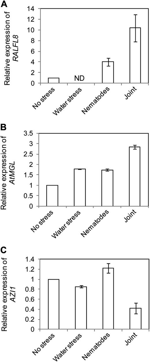 Relative expression of candidate genes in leaves of plants under differing stress treatments. The expression levels of AtRALFL8 (A), AtMGL (B), and AZI1 (C) are shown relative to the unstressed samples, as analyzed by qRT-PCR. RNA was pooled from 40 plants. Error bars represent se of the means of three technical replicates. ND, Not detected.