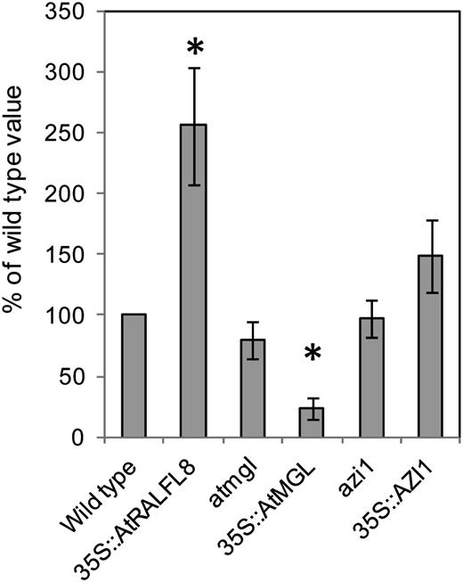 Nematode susceptibility assays. Mutant and overexpression lines for each candidate gene were exposed to 100 J2 H. schachtii nematodes per plant. Nematodes were allowed to develop for 10 d, then roots were stained and the number of established third- and fourth-stage juvenile nematodes (J3 and J4) counted per plant. The mean number of nematodes per plant for each genotype is expressed as a percentage of the wild-type value (100%). Asterisks show a significant difference from the wild type (n = 10–12; *P < 0.05).