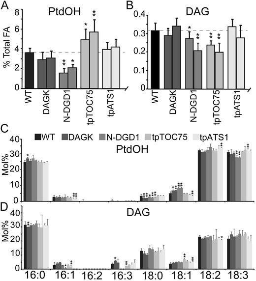 PtdOH and DAG levels in DAGK-producing plants. Levels of PtdOH (A) or DAG (B) are given as a molar percentage of total fatty acids in the wild type or plants producing DAGK indicated by their respective targeting peptide. Fatty acid profiles of PtdOH (C) and DAG (D) in the wild type or plants producing DAGK indicated by their respective targeting peptide. Quantification shown is mole percentage of total fatty acids in each lipid. Error bars are sds from three or more biological replicates for all graphs. Levels statistically different from the wild type at a 95% confidence level are indicated by an asterisk. Those at a 99% confidence level are indicated by a double asterisk.