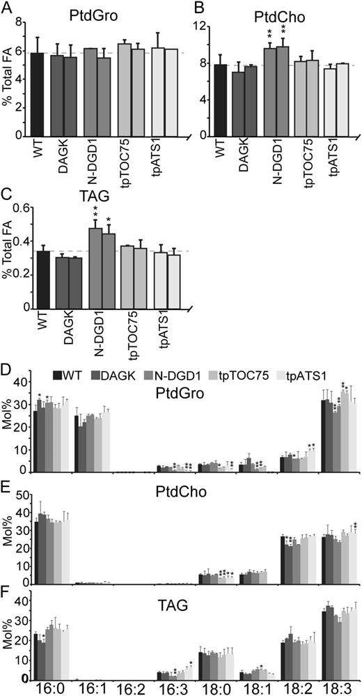 Effects on PtdGro, PtdCho, and TAG levels in DAGK-producing plants. Levels of PtdGro (A), PtdCho (B), and TAG (C) are given as a mole percentage of total fatty acids in the wild type or plants producing DAGK indicated by their respective targeting peptides. Fatty acid profiles of PtdGro (D), PtdCho (E), and TAG (F) are given as the mole percentage of total fatty acids in each lipid. Error bars are sds from three or more biological replicates for all graphs. Levels statistically different from the wild type at a 95% confidence level are indicated by an asterisk. Those at a 99% confidence level are indicated by a double asterisk.