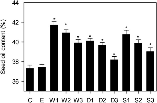 Seed oil contents of independent transgenic lines expressing WRI1, DGAT1, or RNAi SDP1 under the control of seed-specific promoters. Values are means ± se of measurements on seeds from individual plants (n = 12) of each genotype grown in controlled conditions. Asterisks denote statistically significant differences from the wild type (lsd test), where significant differences between genotypes were detected (F test). C is the wild type, E is an empty vector control, and W, D, and S are independent homozygous T3 lines expressing the WRI1, DGAT1, and RNAi SDP1 transgenes.