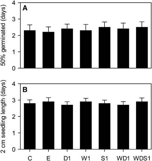 Individual and combined effects of altering WRI1, DGAT1, and SDP1 expression on germination rate (A) and early seedling growth rate (B). Values are means ± se of measurements on seeds from individual plants (n = 6) of each genotype grown in controlled conditions. The times required for 50% of the seeds to germinate (A) and for seedlings then to reach 2 cm in length (B) were scored. No significant differences between genotypes were detected (F test). C is the wild type, E is an empty vector control, and W, D, and S are independent homozygous lines expressing the WRI1, DGAT1, and RNAi SDP1 transgenes individually and in combination.