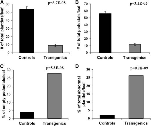 Statistical analysis of the phenotypic alterations observed on leaves of functional KdLEC1 transgenic versus nontransformed plants. The number of plantlets (A) and pedestals (B) per leaf was drastically reduced in the transgenic plants. C, Transgenic plants showed an increased number of pedestals that do not form plantlets (empty pedestals). D, The number of plantlets with abnormal phenotypes was drastically increased in the transgenic plants. Data are reported as mean values ± sd (n = 23 for transgenic plants and n = 4 for nontransformed plants). Means of the two groups of plants were compared using the Student’s t test and were considered significantly different when P ≤ 0.001.