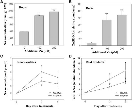 A. halleri roots secrete NA in response to excess zinc. A, NA concentrations in A. halleri roots were determined under different concentrations of excess zinc supplements treated for 7 d. B and D, Relative abundances of Zn(II)-NA complex in A. halleri roots (B) and root exudates (D) under different excess zinc treatments (100 and 200 μm Zn) are shown in normalized peak areas of the complexes to an internal control. C, Secreted NA in A. halleri root exudates collected under 100 μm or 200 μm of supplied excess zinc after 3- and 5-d treatments. Data are the mean ± sd of four replicates with three technical repeats; each replicate of roots and root exudates was a pool of four plants and combined exudates of three culture containers. Leu enkephalin (0.2 ppm) was used as an internal control. The asterisks denote significant differences compared with the control treatment. *P < 0.05 and ***P < 0.001 by the Student’s t test. FW, fresh biomass.