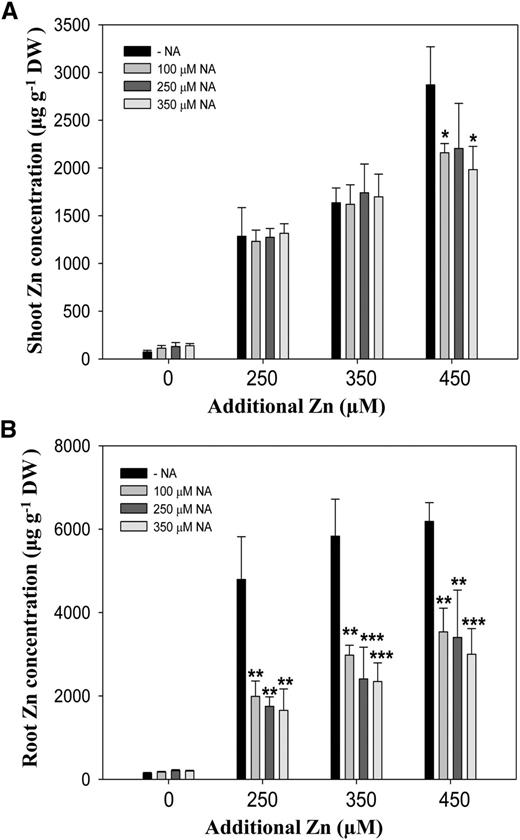 Zinc accumulation in the presence of NA. A and B, The concentrations of zinc in shoots (A) and roots (B) of A. thaliana grown under additional 250, 350, or 450 μm of excess zinc treatments supplemented with indicated concentrations of exogenous NA as shown in Figure 6A. Four-day-old A. thaliana seedlings grown in one-half-strength Murashige and Skoog medium were transferred to treatments for 10 d. Data are the mean ± sd of three replicates with eight to 15 pooled plants each. Asterisks denote significant differences compared with treatment without NA (−NA). *P < 0.05; **P < 0.01; and ***P < 0.001 by the Student’s t test. DW, Dry biomass.