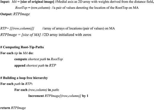 Principle of the RTP algorithm as pseudocode.