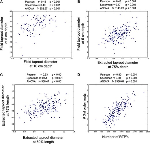 Trait correlations in cowpea. A, Results from field measurements of taproot diameters at 5- and 10-cm depth show correlations close to r = 0.5 for Spearman and Pearson coefficients. Note that not all plants reached 10-cm depth. B, An example of confirming results with r = 0.5 for Spearman and Pearson coefficients was achieved in correlation between the field-measured 5-cm depth level and the diameters at 75% of the central path length. C, The central path diameters extracted from images are shown with similar correlation coefficients than observed with manual field measurements. D, A surprising correlation: The number of third order basal roots in cowpea is highly correlated with the overall number of RTPs. Both correlation measures together (Spearman r and Pearson r) suggest even linear dependency. The ANOVA analysis confirms that both measurements are taken from different quantities for both correlations. All diameter measurements are in millimeters and data points represent averages per genotype.
