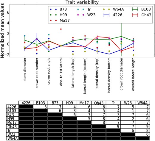 Top, Phenotype differentiation with shovelomics. Normalized mean trait values show the intergenotype variation for the crown roots of the nine examined maize genotypes. The points represent average normalized values. The connection between points allows the reader to visually identify the three genotypes shown in Figure 4. All density and distance measures are researcher scores. Bottom, The number of traits that distinguish a pair of genotypes in the maize study. For each combination, at least one distinguishing trait was found.