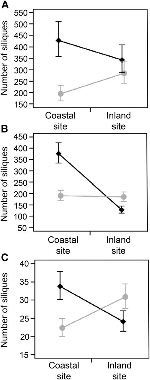 Mean fitness ± 95% confidence intervals predicted from a Poisson log-normal GLMM of Arabidopsis plants from coastal and inland habitats measured as silique number in both field and controlled common gardens. Plants from coastal (black diamonds) and inland (gray circles) demes cultivated in the coastal common garden in Blanes and the inland common garden in Santa Coloma de Farners in 2013 (A) and 2014 (B) and a controlled environment common garden (C) in soil excavated from the sites used for the coastal and inland common gardens; n = 10 plants per deme and 10 demes each from coastal and inland habitats (for details, see Supplemental Table S2).