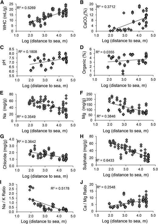 Clines in the physiochemical properties of soil with distance to the sea. Water-holding capacity (WHC; A; milliliters per gram), carbonate content (B; CaCO3; percentage), pH (C), organic matter (D; percentage), Na+ (E; milligrams per gram), Mg2+ (F; milligrams per gram), chloride (G; milligrams per gram), sulfate (H; milligrams per gram), Na+-K+ ratio (I), and Ca2+-Mg2+ ratio (J) of soil samples collected in May of 2013 and their relationship with distance to the sea (logarithm of meters to sea). Data include three samples of soil per site (for details, see Supplemental Table S2).