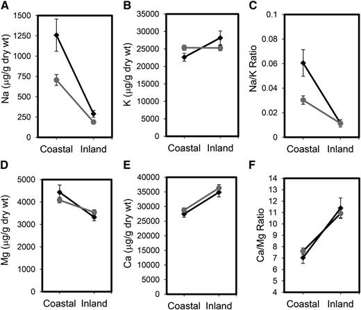 Differentiation in mineral nutrient content of coastal and inland Arabidopsis demes growing in their native habitats. Leaf concentrations of Na+ (A), K+ (B), Mg2+ (D), and Ca2+ (E; micrograms per gram dry weight) and Na+-K+ (C) and Ca2+-Mg2+ (F) ratios from tissue collected in the field in March of 2013 (black diamonds) and March of 2014 (gray circles). Data represent the mean ± se (n = 30 coastal and 26 inland plants in 2013 and 120 coastal and 107 inland plants in 2014; for details, see Supplemental Table S2).