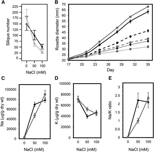 Effects of NaCl treatments on growth and fitness of coastal and inland Arabidopsis demes. A, Plants were grown in potting mix and irrigated with 0, 50, or 100 mm NaCl in one-quarter-strength Hoagland solution, and total silique number was counted at maturity from coastal (black diamonds) and inland (gray circles) demes. B, Rosette diameter of plants. Growth of plants from coastal (black diamonds) and inland (gray circles) demes exposed to 0 (lines), 50 (dashed lines), or 100 mm (dotted lines) NaCl was also measured. In A, plotted values are the predicted means ± 95% confidence intervals obtained from a Poisson log-normal GLMM (n = 4 plants per deme from eight coastal and nine inland demes), and in B, plotted values represent the mean ± se (n = 4 plants per deme from eight coastal and nine inland demes). Plants from coastal (black diamonds) and inland (gray circles) demes were also grown hydroponically and exposed to different concentrations of NaCl in the hydroponic growth solution, and the concentrations of Na+ (C) and K+ (D) and the Na+-K+ ratio (E) in leaves were determined. Data represent the mean ± se (n = 6 plants per deme and 13 demes from coastal and inland habitats; for details, see Supplemental Table S2).