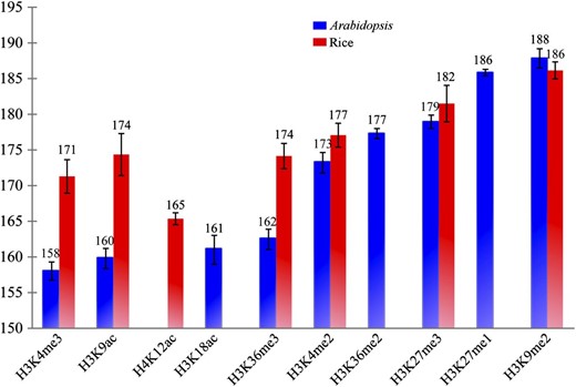Spacing of nucleosomes associated with specific histone modification markers. The x axis shows different histone modification markers. The y axis represents the average distance between two adjacent nucleosomes. All histone modification data were derived from leaf tissues in both species. H3K27me1, H3K27me3, and H3K9me2 are histone modification marks that are considered to be associated with heterochromatin. The rest of the histone modification marks are associated with euchromatin.