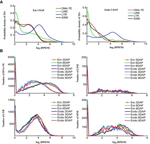 Methylation patterns of TEs. A, Distribution of the methylation read density for DNA-TEs, LINEs, LTRs, and SINEs in embryo and endosperm. The methylation level of TE was defined based on average read density normalized by sequencing depth (RPKM). The read density distribution of embryo or endosperm at 3 DAP is shown, and the other samples have the same pattern. The K-S test was performed and revealed a significant difference between LTR and other TEs (P < 0.001). B, Read density distribution of TEs in all samples, with one plot for one type of TE. The K-S test was performed and revealed a significant difference in the numbers of DNA-TEs and SINEs between embryo and endosperm (P < 0.001).