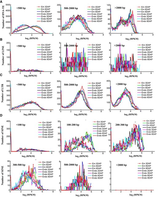 Methylation patterns of different types of TEs with different lengths. Read density distribution is shown for DNA-TEs (A), LINEs (B), LTRs (C), and SINEs (D) with length of less than 500 bp (SINEs included four additional subgroups with length of less than 100 bp, 100–200 bp, 200–300 bp, and 300–500 bp), 500 to 2,000 bp, and more than 2,000 bp across different developmental stages of rice embryo and endosperm. The K-S test was performed and revealed a significant difference in the numbers of short DNA-TEs (less than 500 bp) and SINEs (less than 500 bp) between the embryo and endosperm (P < 0.001).