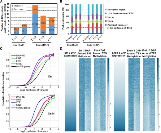 Dynamic DNA methylation of rice embryo and endosperm. A, Number of regions with differential DNA methylation. Increased or decreased DNA methylation between consecutive stages during embryo and endosperm development is shown. For the detection of differential methylation regions, see “Materials and Methods.” B, Distribution of differentially methylated regions in relation to gene annotation between consecutive developmental stages, which is compared with the average proportion of methylated region distribution for embryo and endosperm. Genomic regions were divided into five categories: proximal promoter (1 kb upstream of the TSS), exon, intron, transcriptional termination region (1 kb downstream of the TES), and intergenic region. Student’s t test was performed and revealed significantly more exonic regions for differentially methylated loci compared with all methylated loci in embryo (P = 0.0397), while no significant difference was detected in endosperm (P = 0.62). C, Cumulative distribution of the coefficient of variance in log2 scale for DNA-TEs, LINEs, LTRs, SINEs, and non-TE genes. The K-S test was performed and revealed a significant difference between non-TE genes and TEs, LTRs, and other TEs or non-TE genes (P < 0.001). D, DNA methylation level negatively correlates with the gene expression level in rice embryo and endosperm. The expression intensity in log2 scale of all examined genes was sorted in ascending order (left), and the methylation intensity around the TSS (middle; from 3 kb upstream of the TSS to 3 kb downstream of the TSS) and the TES (right; from 3 kb upstream of the TES to 3 kb downstream of the TES) of the corresponding genes was plotted. The methylation intensity around the TSS and TES is generated from the average read density normalized by sequencing depth and window size of 20 bp (RPKM). Each row in the heat map of expression represents a gene, and each column in the heat map of methylation intensity corresponds to the RPKM in each 20-bp bin around the TSS (middle) or the TES (right). The expression and methylation patterns of embryo or endosperm at 3 DAP are shown, and all other samples have the same pattern.