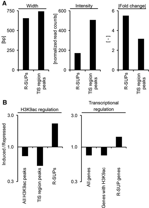 Characterization of R-SUPs and TIS region peaks from R-SUP-associated genes and comparison of ratios from induced to repressed H3K9ac peaks and genes from different groups. A, Mean widths, intensities and fold changes from R-SUPs and TIS region H3K9ac peaks of R-SUP-associated genes were calculated and plotted as indicated. The width is given as base pairs, and the intensities are given as normalized read counts. B, Ratios from induced to repressed H3K9ac peaks (left) and genes (right) from the indicated groups (x axes) were calculated and are plotted on the log10-transformed y axes. Genes and H3K9ac peaks are regulated with a fold change ≥ |2| and an FDR ≤ 0.05.