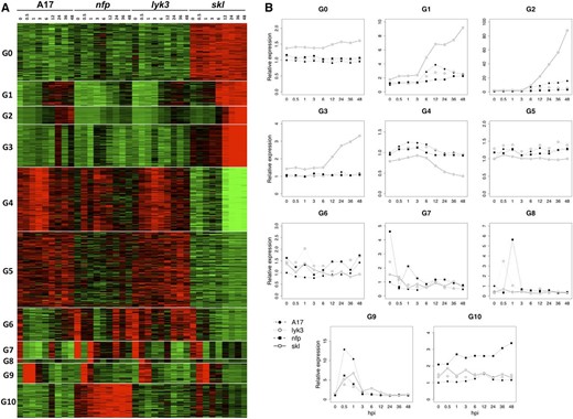 Identification of 11 coexpression groups. A, Heat map representing the expression of 10,985 differentially expressed genes identified in the RNA-seq experiment, where the average Trimmed Mean of M component (TMM) count values of a given gene across all samples was used as a normalization factor. The vertical axis organizes genes according to coexpression. The horizontal axis is a genotype-specific time course. Samples with gene TMM count values larger than the average TMM count for that gene are represented in red, while samples with lower counts than the average are represented in green. Whenever transcript values are close to the average value, samples are colored in black. B, Line graphs showing the average relative expression value of all genes in that group. TMM count values of any given gene were normalized by the count value of that particular gene at 0 hpi in cv Jemalong A17. A similar methodology was used to generate all expression figures in this work.