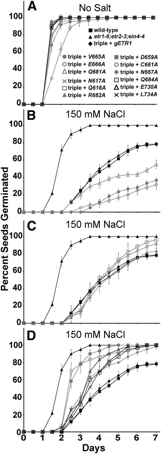 The rapid germination on salt of etr1;etr2;ein4 triple mutants is differentially reversed by etr1 point mutant transgenes. Germination time courses of etr1-6;etr2-3;ein4-4 triple mutants transformed with genomic DNA encoding a mutant etr1 transgene containing the indicated point mutation were determined in the absence (A) or presence (B–D) of 150 mm NaCl. For comparison, data from the wild type, etr1-6;etr2-3;ein4-4 triple mutants, and triple mutants transformed with a wild-type genomic ETR1 (gETR1) transgene are included in each section. The percentage of seeds that germinated was determined every 12 h. All experiments were performed in triplicate. The average percentage of seed germination ± sd at each time is plotted for each seed line.