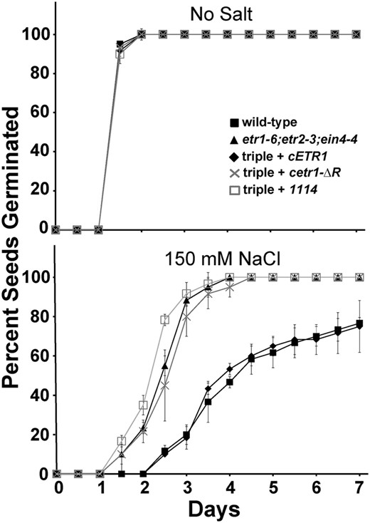 The rapid germination on salt of etr1;etr2;ein4 triple mutants is not reversed by an ETR1-EIN4 chimeric receptor transgene containing the EIN4 receiver domain. Germination time courses of etr1-6;etr2-3;ein4-4 triple mutants transformed with cDNA for a chimeric ETR1-EIN4 receptor containing the receiver domain of EIN4 (1114) were determined in the presence and absence of 150 mm NaCl. Germination time courses of the wild type, etr1-6;etr2-3;ein4-4 triple mutants, and triple mutants transformed with cDNA for full-length ETR1 (cETR1) or a truncated ETR1 lacking the receiver domain (cetr1-ƊR) are included for comparison. All experiments were performed in triplicate. The average percentage of seed germination ± sd at each time is plotted for each seed line.