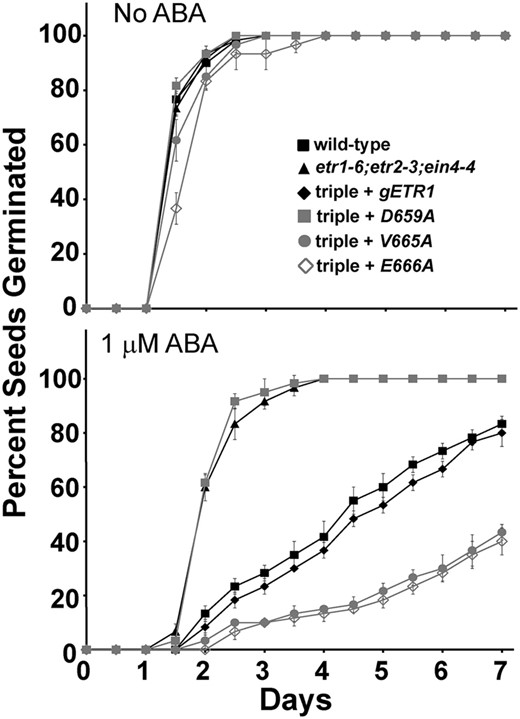 ABA phenocopies the effects of NaCl. Germination time courses of etr1-6;etr2-3;ein4-4 triple mutants transformed with genomic DNA encoding a mutant etr1 transgene containing the indicated point mutation were determined. For comparison, data from the wild type, etr1-6;etr2-3;ein4-4 triple mutants, and triple mutants transformed with a wild-type genomic ETR1 (gETR1) transgene are included. Seeds were germinated in the presence or absence of 1 µm ABA. All experiments were performed in triplicate. The average percentage of seed germination ± sd at each time is plotted for each seed line.
