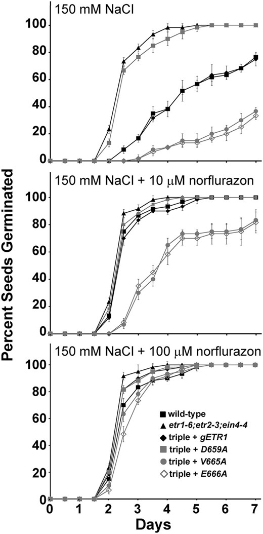 Norflurazon reduces differences in germination between select point mutants. Germination time courses of etr1-6;etr2-3;ein4-4 triple mutants transformed with genomic DNA encoding a mutant etr1 transgene containing the indicated point mutation were determined. For comparison, data from the wild type, etr1-6;etr2-3;ein4-4 triple mutants, and triple mutants transformed with a wild-type genomic ETR1 (gETR1) transgene are included. Seeds were germinated on 150 mm NaCl in the absence or presence of the indicated concentrations of the ABA biosynthesis inhibitor norflurazon. All experiments were performed in triplicate. The average percentage of seed germination ± sd at each time is plotted for each seed line.