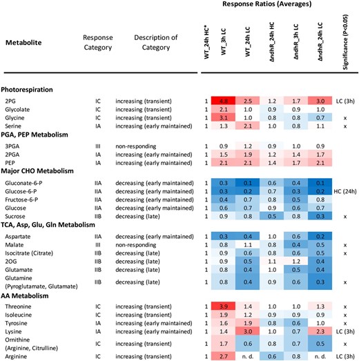 Overview of Ci-responsive metabolites in the Synechocystis 6803 wild type (WT) compared with the ƊndhR mutant. The heat map shows response ratios relative to the wild type at 24 h of HC (asterisk). Metabolites are sorted according to general metabolic context and classified by response category in the wild type (compare with Fig. 5). The significant general difference between the wild type and mutant was assessed by two-way ANOVA (x). Condition-specific differences were tested by heteroscedastic Student’s t test in LC (3 h) and HC (24 h). For the underlying statistical assessments and the full set of profiled metabolites, see Supplemental Table S5.