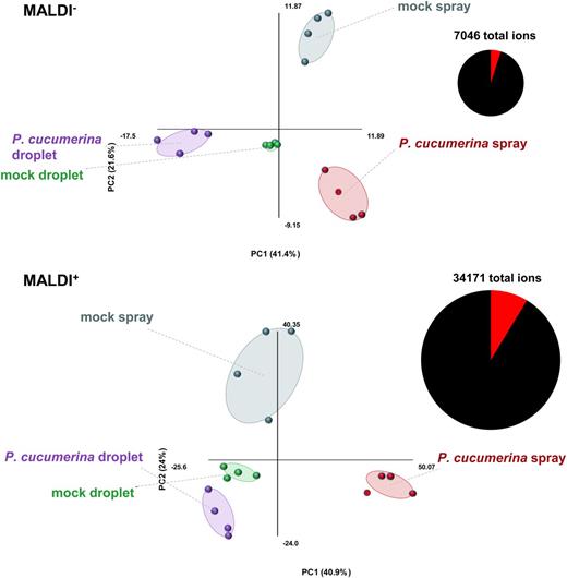 Metabolic profiling by MALDI-Q-TOF analysis of P. cucumerina-infected Arabidopsis leaves following spray and droplet inoculation. Principal component analysis (PCA) of ions (m/z values) that show a statistically significant difference between treatments (n = 4; ANOVA, P < 0.01). Five-week-old leaves were collected at 2 d after mock or P. cucumerina inoculation (106 spores mL−1). Leaf extracts were analyzed by MALDI-Q-TOF in negative (MALDI−) and positive (MALDI+) ionization mode. Pie charts show statistically significant (red) and nonsignificant (black) fractions of all detected ions. Each data point in the PCA plots represents the profile of one biologically replicated sample, which was derived from the average of six technical replicates. Percentages of variation explained by each principal component (PC) are shown in parentheses.
