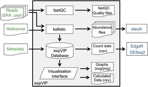 Implementation of expVIP. User inputs are highlighted in green. Downstream differential gene expression analysis (blue) can be performed on expVIP outputs, which are preformatted for this use. External programs are in rectangles, document symbols represent inputs and outputs, the trapezoid represents the visualization interface, and the cylinder represents the expVIP relational database.