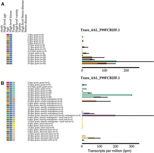Expression of Traes_4AL_F99FCB25F.1 in grains categorized by age (A) and age and tissue (B). The colors represent age (A) or tissue (B): the color coding of the graph is determined by the most recent category clicked by the user.