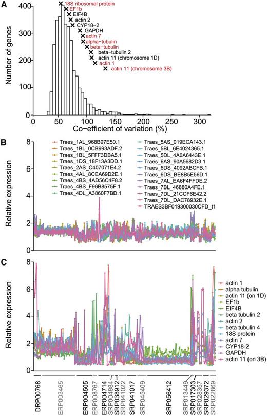Stability of gene expression between samples. A, Coefficient of variation for genes that are expressed at over 2 tpm in all samples. Commonly used reference genes are indicated by crosses (x), and reference genes in red are not expressed at over 2 tpm in all samples. B and C, Expression of the 20 most stably expressed genes (B) and 13 commonly used reference genes (C) across 321 wheat samples belonging to 16 studies indicated on the x axis. The expression level of each gene in a sample is relative to the average expression level of this gene across all samples. Abbreviations are as follows: elongation factor 1-β (EF1b), eukaryotic translation initiation factor 4B (EIF4B), cylophilin A (CYP18-2), and glyceraldehyde 3-phosphate dehydrogenase (GAPDH).