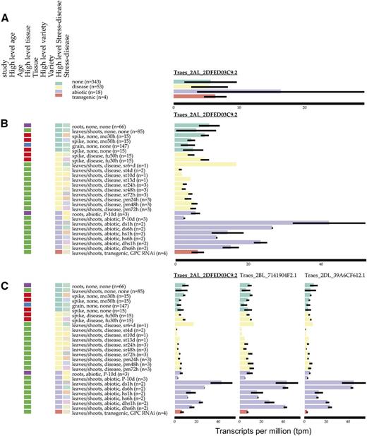 Example of gene expression visualization using expVIP for the gene Traes_2AL_2DFED03C9.2, with samples grouped according to their High level stress-disease (A), Traes_2AL_2DFED03C9.2, with additional categorization of samples including lower level Stress-disease and High level tissue (B), and Traes_2AL_2DFED03C9.2 and its B and D homeologues, which are differentially expressed in 11 and 12 abiotic and disease conditions, respectively (C). The data shown here include expression data from all studies, not just the studies examined for differential expression. Samples are ordered by their High level stress-disease status: none (green), disease (yellow), abiotic (purple), and transgenic (orange).
