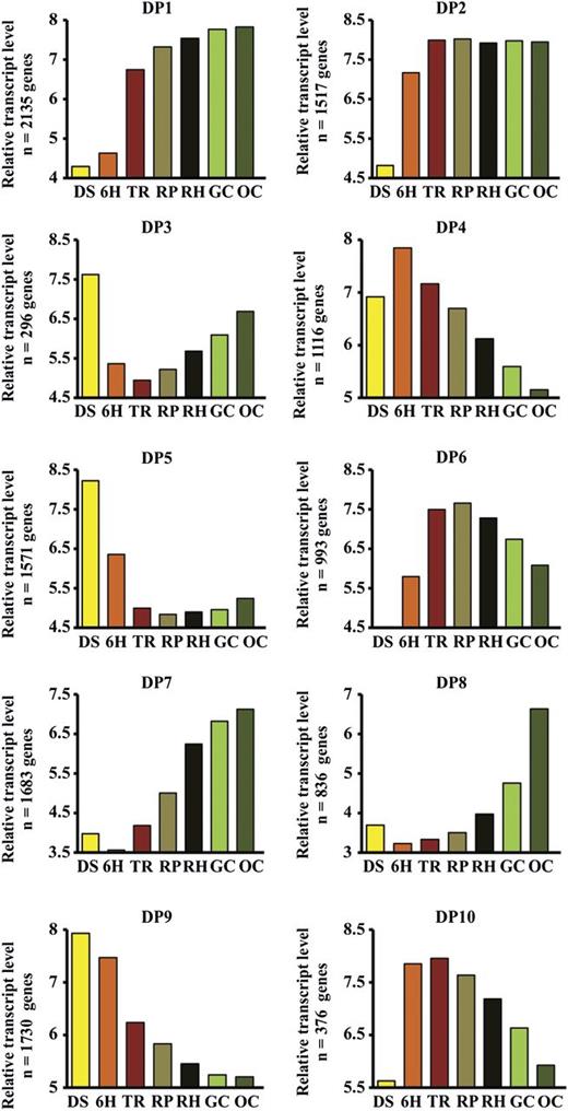 DPs of gene expression during the seed-to-seedling transition. Ten DPs were found using Fuzzy K-Means clustering of the 50% most variant transcripts from the data set of 19,130 transcripts that showed a significant expression difference in at least one developmental stage. Bar graphs represent averages of mRNA expression levels in each stage (left to right, mature seeds to cotyledons fully opened).