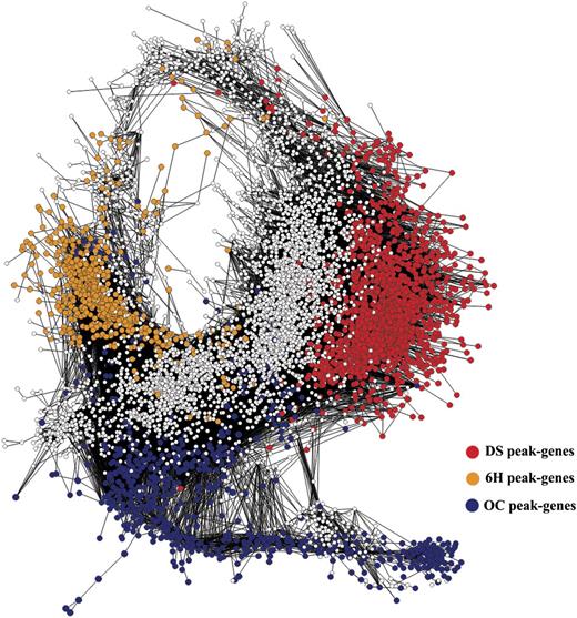 Unweighted gene coexpression network for the seed-to-seedling transition. Circles (nodes) represent transcripts, and lines (edges) represent significant transcriptional interactions between the transcripts. Temporal analysis of network clusters was performed by coloring each gene by its maximum expression across seed-to-seedling transition developmental stages (peaking gene sets).