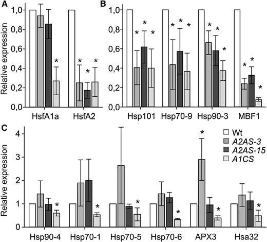 Regulation of HS-responsive genes in pollen at tetrad stage. A to C, Relative expression (2–ƊƊCt) is shown for HsfA1a and HsfA2 (A), genes depending on HsfA1a and HsfA2 for higher expression (B), and genes requiring HsfA1a but not HsfA2 (C) in tetrads from wild-type, A2AS-3, A2AS-15, and A1CS plants. Transcript abundance of HsfA2 normalized to wild-type tetrads. Asterisks indicate statistically significant differences (P < 0.05) based on pairwise t test between the wild type and A2AS-3, A2AS-15, or A1CS.