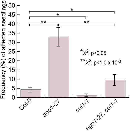 Disruption of JA perception suppresses lesion phenotype. coi1-1 mutant seedlings showed significantly fewer affected seedlings than the wild type (P < 0.05). ago1-27;coi1-1 double mutant seedlings showed dramatically fewer affected seedlings than ago1-27 single mutant seedlings (P < 1 × 10−3); however, the frequency of affected seedlings was significantly higher than in the wild type (P < 0.05). Statistical significance was calculated using the χ2 test of significance (**, P < 1 × 10−3 and *, P < 0.05; for all reported P values, see Supplemental Table S4). n = 72 to 144 individuals per replicate, with four replicates each. Error bars represent se across biological replicates.