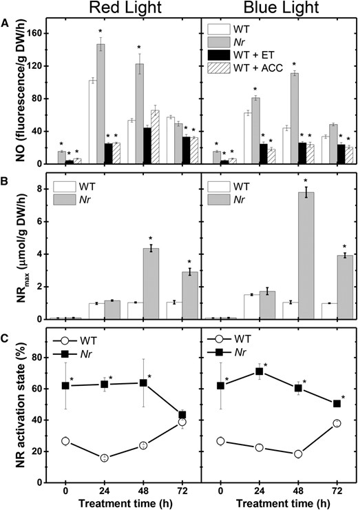 Ethylene negatively influences endogenous NO production in deetiolating tomato seedlings. Seedlings dark grown for 120 h were transferred to continuous RL or BL treatment. Treatment of wild-type (WT) seedlings with 100 μL L−1 gaseous ethylene (ET) or 100 µm ACC was initiated 48 h before starting the light exposure. Ethylene concentration was renewed daily, and ACC was supplemented only once to the growth medium. Seedlings of the ethylene-insensitive Never ripe (Nr) mutant were not subjected to ethylene or ACC treatment. A, Fluorometric quantification of endogenous NO release. B, NR maximum activity (NRmax). C, NR activation state. Values shown are means ± se. Asterisks indicate statistically significant differences compared with the wild type at each sampling time (Student’s t test, P < 0.05). DW, Dry weight.