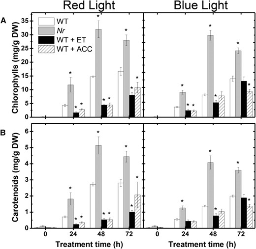 Ethylene inhibits chlorophyll and carotenoid accumulation in deetiolating tomato seedlings. Photosynthetic pigment accumulation is shown in cotyledons of wild-type (WT) seedlings treated with gaseous ethylene (ET) or ACC as well as in the ethylene-insensitive Nr mutant exposed to either RL or BL treatment. Treatment details are as described in Figure 6. A, Chlorophylls. B, Carotenoids. Values shown are means ± se. Asterisks indicate statistically significant differences compared with the wild type at each sampling time (Student’s t test, P < 0.05). DW, Dry weight.