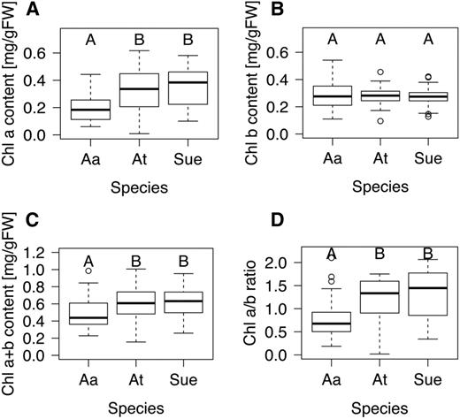 Chlorophyll concentrations in the allopolyploid A. suecica are at best-parent levels. Chlorophyll was extracted overnight at 4°C. A, Chlorophyll a levels in A. suecica are at the same level of A. thaliana but both are significantly higher than those in A. arenosa. Statistical significance was assessed using ANOVA (F = 15.35, df = 2 and 130, and P = 1.04e -06) and Tukey posthoc testing: P (At-Aa) < 0.0005, P (Sue-Aa) < 0.0001, and P (Sue-At) = 0.7. B, Chlorophyll b levels were similar in all three species (F = 0.21, df = 2 and 130, and P = 0.8). C, Combined chlorophyll levels are significantly higher in A. thaliana and A. suecica compared to A. arenosa using ANOVA (F = 8.35, df = 2 and 130, and P < 0.001) and Tukey posthoc testing: P (At-Aa) < 0.01, P (Sue-Aa) < 0.001, and P (Sue-At) = 0.8. D, The ratio of chlorophyll a/b was calculated using the data from A and B using ANOVA (F = 14.1, df = 2 and 130, and P = 2.77e-06) and Tukey posthoc testing: P (At-Aa) < 0.0001, P (Sue-Aa) < 0.0001, and P (Sue-At) = 0.5. Data points not connected by the same letter are statistically significantly different. At, A. thaliana; Aa, A. arenosa; Sue, A. suecica. Box plots show data range, including median (bold line), the 25th and 75th percentiles (lower and upper end of box), and 5th or 95th percentiles of data distribution (lower and upper whiskers). Outliers are indicated with circles. Samples that are not connected by the same letter are statistically significantly different from each other.