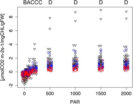 Carbon dioxide assimilation is increased in A. suecica over progenitor levels, particularly at higher light levels. Progenitor and allopolyploid plants were grown for 21 to 25 d in the greenhouse in individual pots (“Conetainers”). For CO2 assimilation measurements, pots with plants were inserted into the Arabidopsis RGB cuvette of the LI-COR 6400 gas analyzer and acclimated at 1,000 µmol m−2 s−1 for 20 min. Light response curves were then measured using an automated function of the LI-COR 6400 starting with a photon flux density of 2,000 µmol m−2 s−1 and dropping incrementally lower in 2-min intervals. Data were statistically analyzed for each light level individually using a Kruskal-Wallis test coupled with a subsequent Nemenyi test for pairwise analysis. Black triangles, A. suecica (AS); blue diamonds, A. thaliana (AT); red crosses, A. arenosa (AA). The nine letters above the graph indicate which species are statistically significantly different from each other at each of the nine different light levels (P < 0.05). A, no differences between any of the species; B, AS different from both AA and AT, but AA = AT; C, AA different from AS and from AT, but AS = AT; D, all three species different from each other. Data were measured at the following light levels: 0, 20, 50, 100, 200, 500, 1,000, 1,500, and 2,000 µmol m−2 s−1. Data points are “jittered” to avoid excessive overlay of data points. Sample sizes: AS = 32, AT = 24, and AA = 22. The entire experiment was done twice separately with similar results and data were combined. Both respiration and photosynthetic rates are enhanced in the allopolyploid over the progenitors at the extreme ends of the light level spectrum.