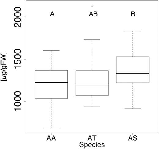 The allopolyploid A. suecica stores as much carbon in proteins as the best progenitor. Plants were grown in the greenhouse under light intensities of ∼200 µmol m−2 s−1 light until harvest and protein quantification. Species that are not connected by the same letter are statistically significantly different from each other. The indicated statistical significances are based on corrected P < 0.05. Protein content of the allopolyploid is higher than in A. arenosa but statistically at the same level as A. thaliana.