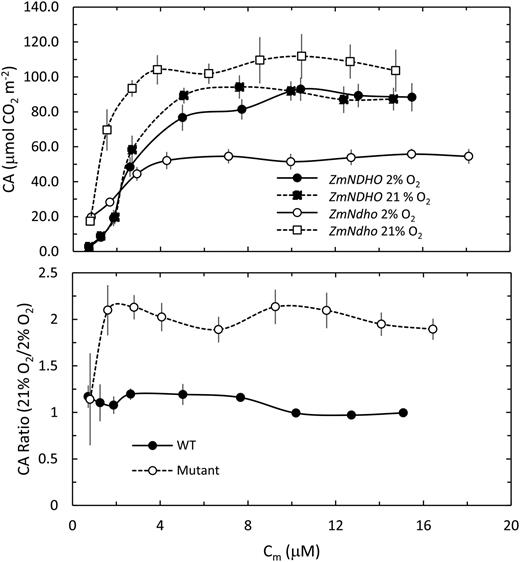The CA increased with increasing Cm reflecting complex shifts in production of NADPH and ATP relative to consumption of these substrates during the dark-light interval (top panel). Nevertheless, the CA in 21% O2 was generally twice that observed at 2% O2 for the mutant, but relatively unaffected by O2 concentration in normal leaves (bottom panel).