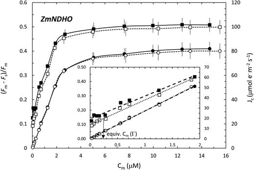 Relationships of Jc (circles) and ƊF/Fm (squares) to Cm for normal maize. Measurements were performed in 2% O2 (white fill) or 21% O2 (black fill). The inset shows the initial portions of the full CO2 response datasets (main panel). The arrow in the inset illustrates how Jo at ½ (21% O2) is estimated from the equivalent Cm (at 2% O2) wherein the associated ƊF/Fm coincides with the y intercept of the 21% O2 plot.