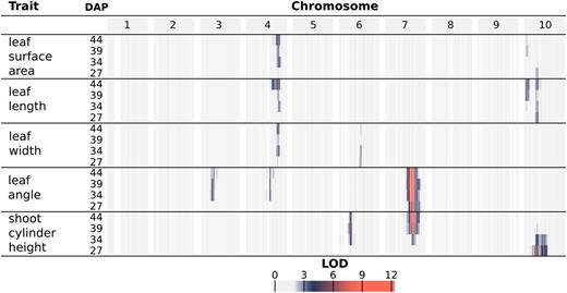 Log of the odds (LOD) profiles for organ-level traits. For each phenotype, LOD profiles are based on chromosome-wide scans of chromosomes with QTLs based on the most likely multiple-QTL models found by model selection (Supplemental Fig. S6). Each row represents a different trait, and within each trait are four nested rows that each represents a different time point (DAP). Each group of columns represents a chromosome, and each column represents a marker at its genetic position. Cells are colored by marker LOD for the phenotype at the particular time point.