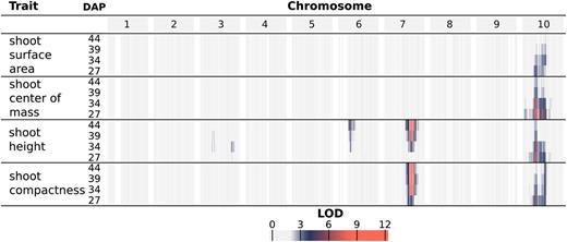 LOD profiles for composite traits. For each phenotype, LOD profiles are based on chromosome-wide scans of chromosomes with QTLs based on the most likely multiple-QTL models found by model selection (Supplemental Fig. S7). Each row represents a different trait, and within each trait are four nested rows that each represents a different time point (DAP). Each group of columns represents a chromosome, and each column represents a marker at its genetic position. Cells are colored by marker LOD for the phenotype at the particular time point.