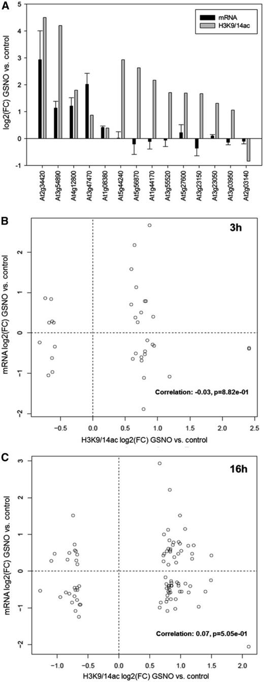 Correlation analysis of GSNO-mediated changes of H3K9/14ac and gene expression. A, qPCR analysis of 14 genes displaying significant changes of H3K9/14ac after GSNO treatment in the ChIP-seq experiment. RNA was isolated from the same samples that were used for the ChIP-seq experiment (n = 2). mRNA levels are expressed as means ± se. Since only two replicates per data point were used, a significance test was omitted. B and C, Correlation analysis of genes displaying GSNO-mediated H3K9/14ac changes after 3 h (B) or 16 h (C) and GSNO-induced transcriptional changes (after 3 h), based on a recently published RNA-seq data set (Begara-Morales et al., 2014). FC, Fold change.
