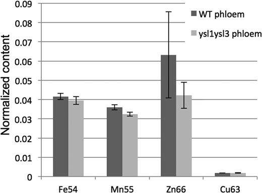 Metal analysis of phloem exudates. Normalization for exudate amount is relative to calcium. Error bars indicate se. A minimum of 10 replicates per sample type were performed. WT, Wild type.