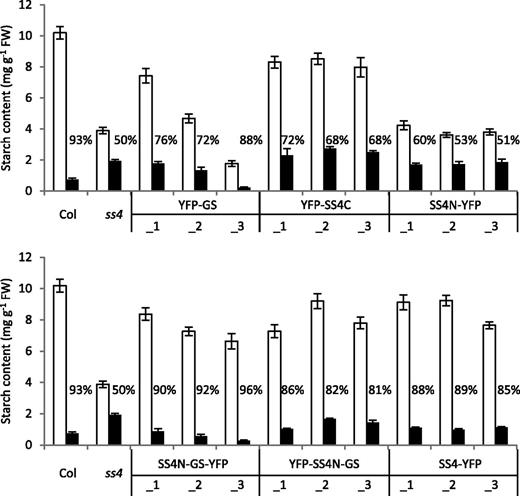 Starch contents of ss4 plants expressing GS- or SS4-derived proteins. Plants grown for four weeks under 12-h-day/12-h-night cycles were harvested at the end of day (white bars) and end of night (black bars). The mean starch content (± se) for each line is given (n = 4 individual rosettes for Col, ss4, and SS4N-YFP; n = 6 for all other lines). For Col and for ss4, the data in the top and bottom panels are the same. The percentage of starch broken down during the night is indicated.